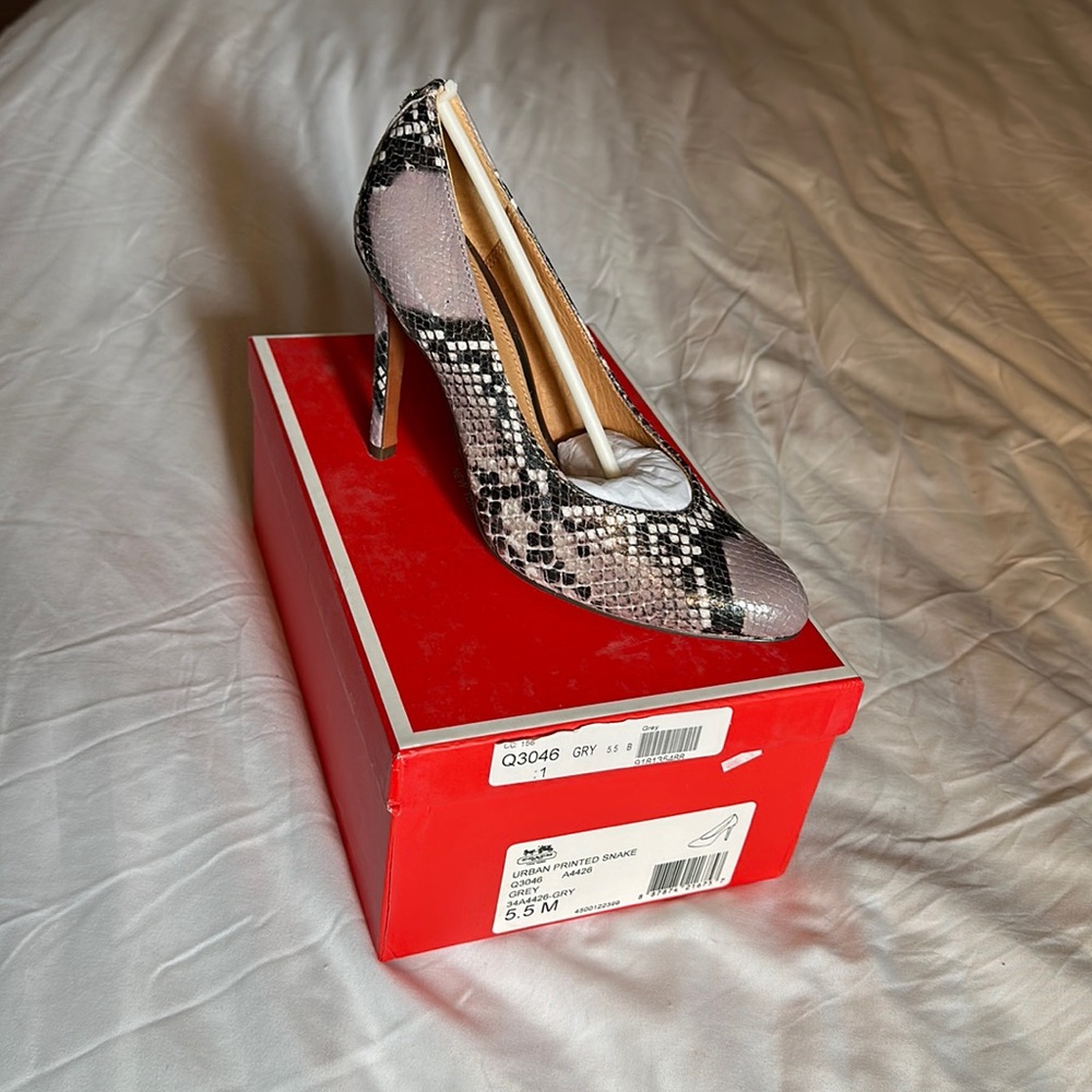 Coach Urban Printed Snake Pumps